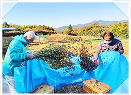 2025年「令和波多打そば」