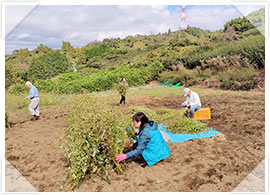 2025年「令和波多打そば」